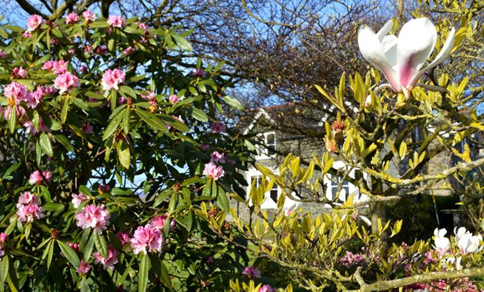 Garden at Hendy Farm Cotages